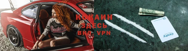 дживик Алексин