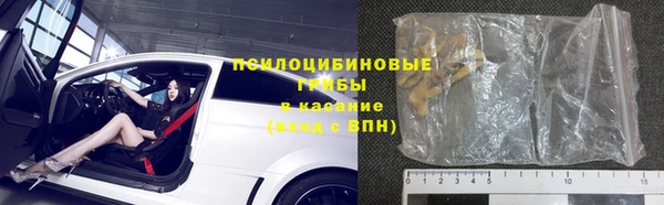 дживик Алексин