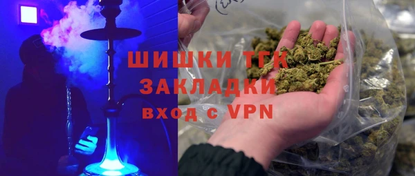 сатива Алзамай