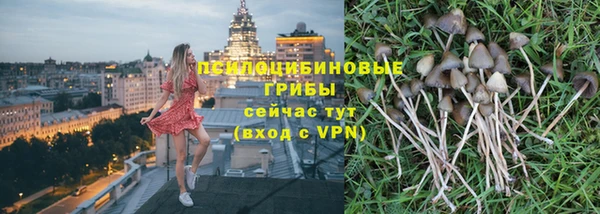 сатива Алзамай