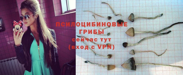 сатива Алзамай