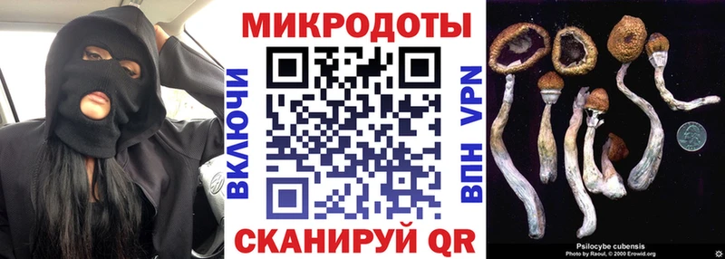 Псилоцибиновые грибы Cubensis Элиста