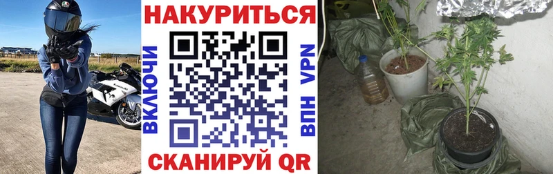 закладки  Элиста  Бошки марихуана MAZAR 